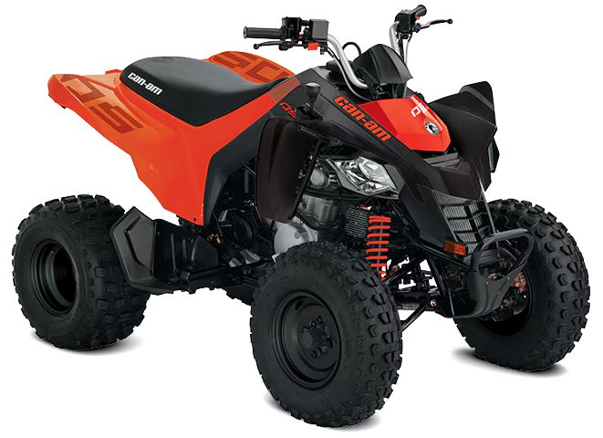 2026 DS 250 *From £6,599